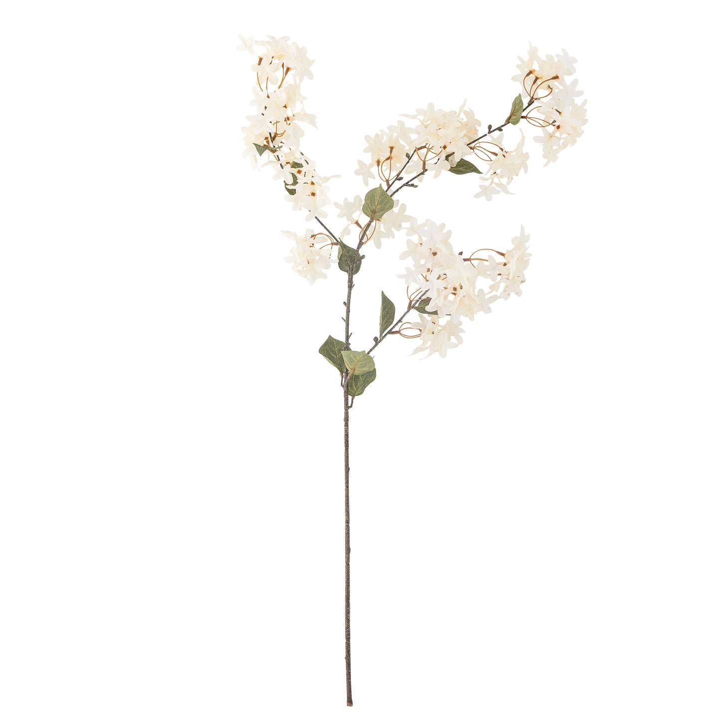 Myrtle white branch Flowers