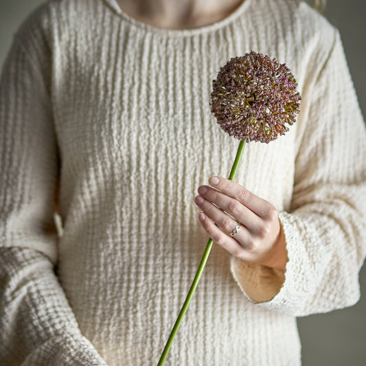 Allium Purple Stem