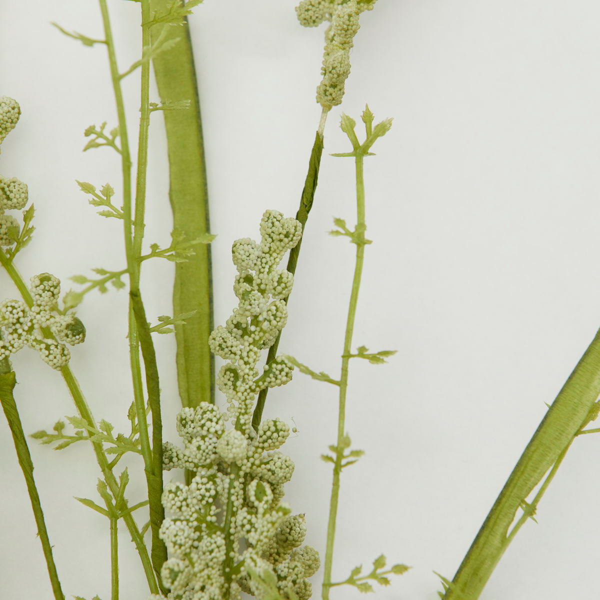 gypsophila stem from Abigail Ahern