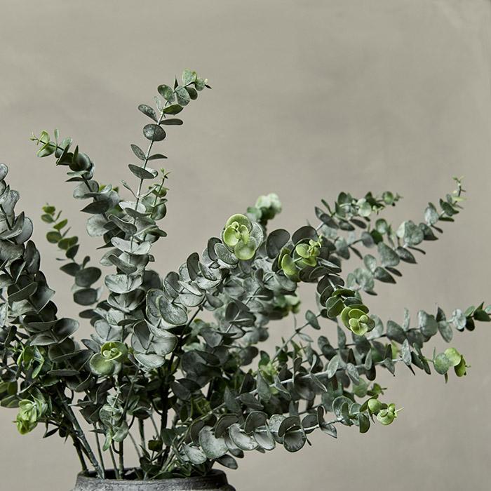 Green Eucalyptus Stem from Abigail Ahern 