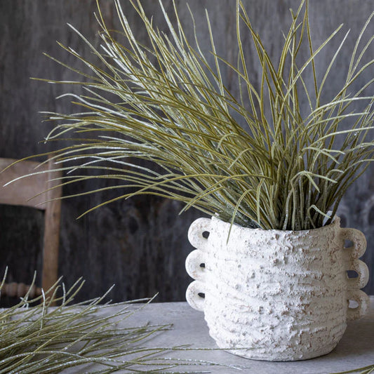 savannah green grass from Abigail Ahern