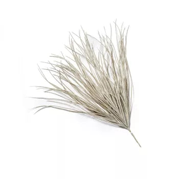 Savannah Grass