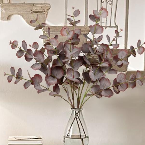 Eucalyptus Purple Stem