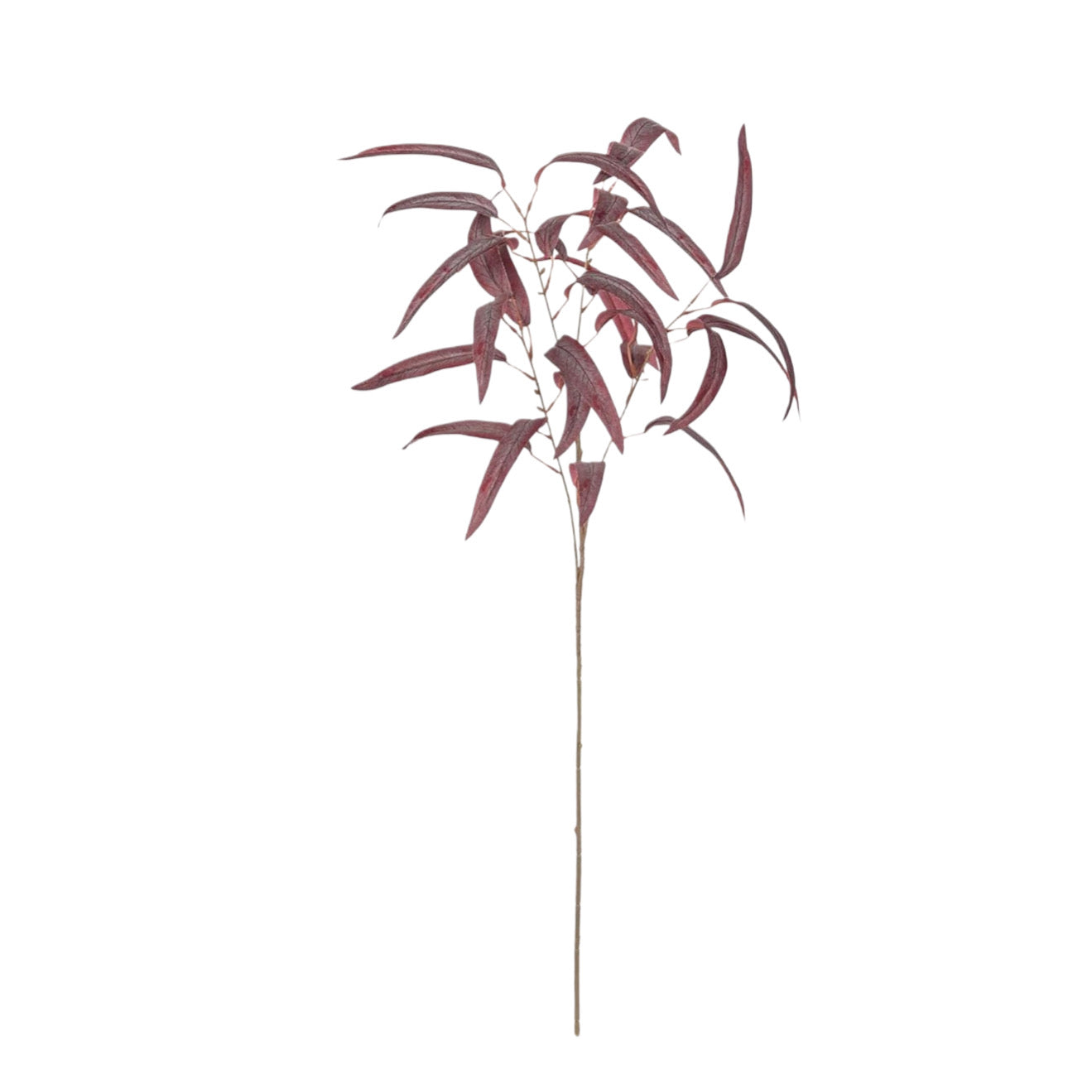 Olive Purple Branch