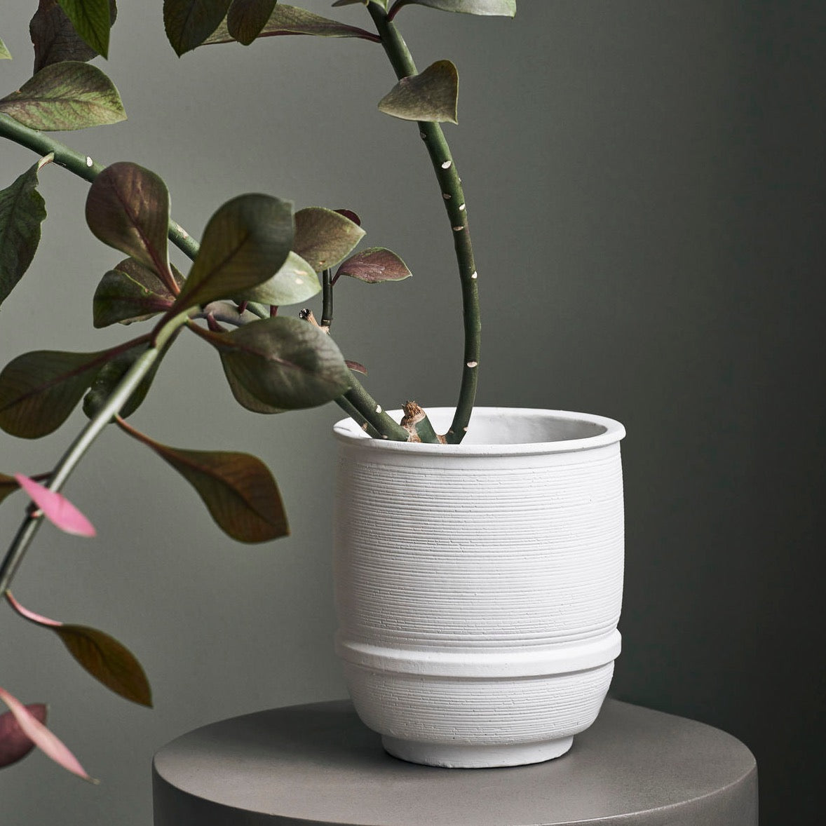 white cement planter 