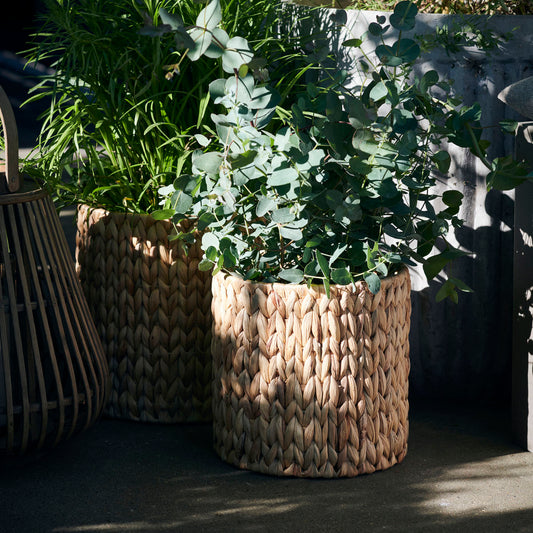 brown display baskets for plants 